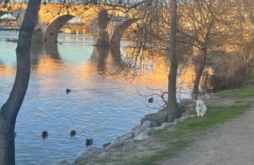 Zamora Apartment | Plata 2