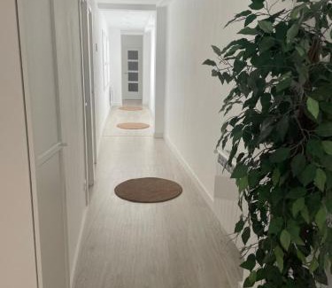 Zamora Apartment | Plata 2