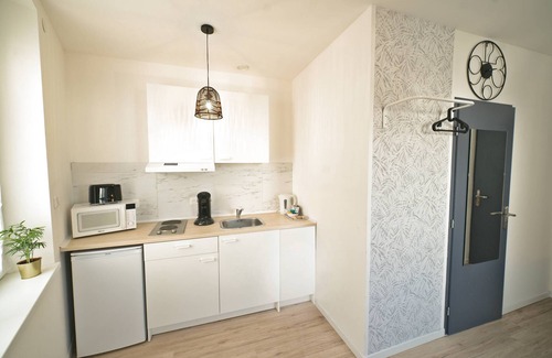 Mulhouse Apartment | Pleasant, functional and very comfortable studio