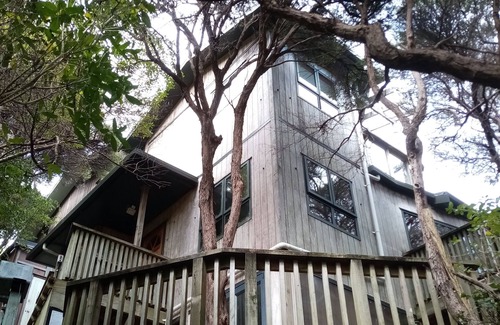 Plimmerton House | Plimmerton Tree Top house (one of two on hillside) - surrounded in manuka forest