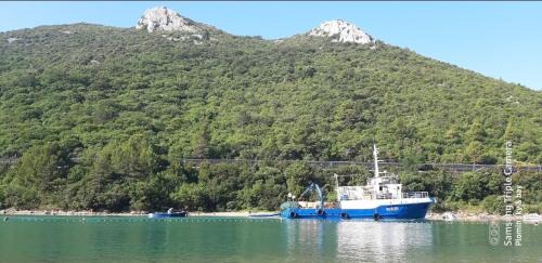 Plomin Apartment | PLOMIN SKY&BAY