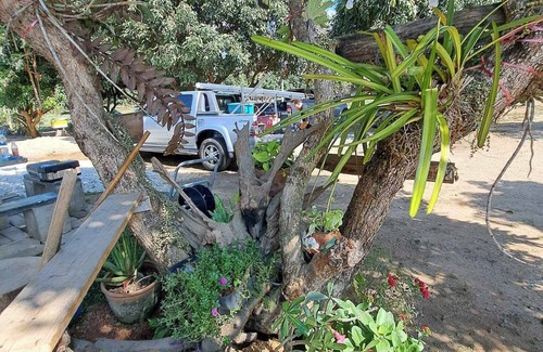 Wiang Chiang Rung Other | Pmresort