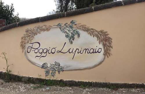 Manciano House | Podere Poggio Lupinaio