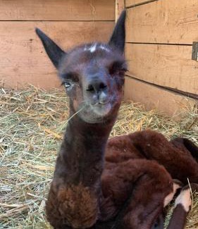 Jurgow House | Pokoje Gościnne Jurgowianka