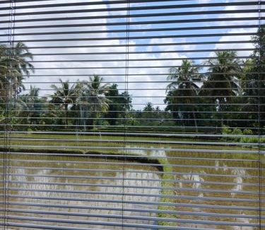 Kecamatan Pringgasela Hotel | Pondok Tojang