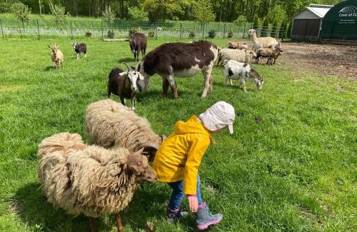 Zepelin House | Poppes Ranch Bauerhof & Campingplätze
