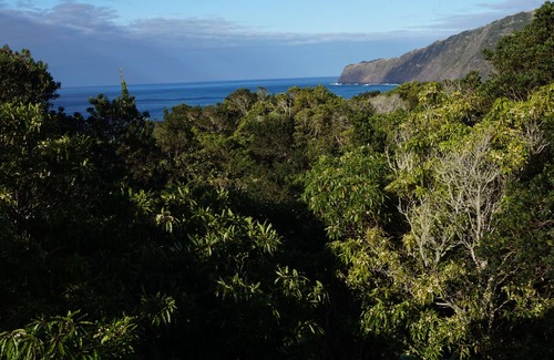 Praia do Norte House | Portugal House in Fajã, Faial Azores