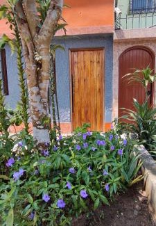 Bellavista Apartment | Posada Estela