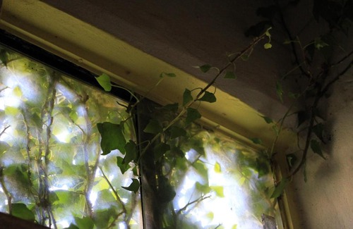 La Consulta Apartment | Posada Newen