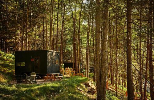 Childersburg Other | Postcard Cabins Talladega Valley, Outdoor Collection by Marriott Bonvoy