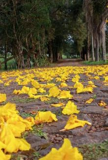 Tibagi Hotel | Pousada Longe Vista