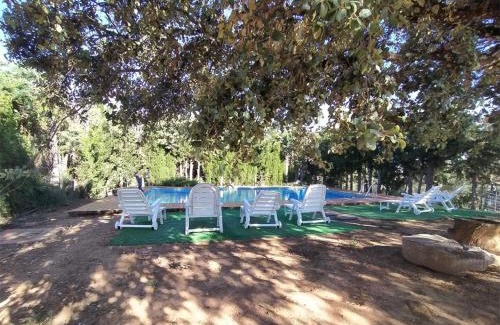 Jabugo House | Pozuelo 1 JABUGO