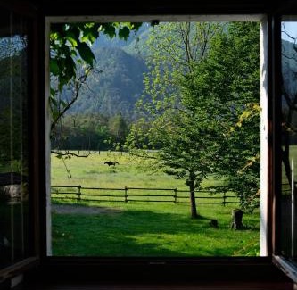 Tramonti di Sotto Apartment | Pradileva