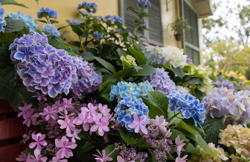 Fuxing District Bed & Breakfast | Prado Hill Holiday