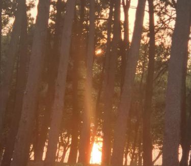 Alcabre House | Precioso alojamiento en Samil a pie de playa VIGO