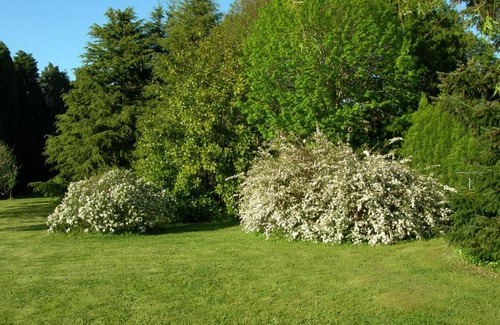 Crendes House | PRECIOSO CHALET EN EL CAMPO CON 9.000 METROS DE JARDIN