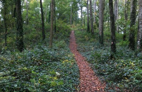 Kinnitty House | Primrose Cottage