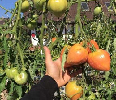 Diersheim Apartment | Privat Apartment- Near Strasbourg, Baden Baden