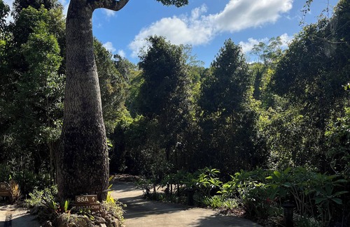 Airlie Beach House | Private Bungalow in Rainforest Setting