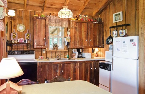 Newport Cabin | Private Mountain Cabin with Views from TN to NC! HOT TUB, SECLUDED, AND WIFI!