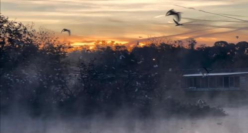 Lakewood Villas House | Private Tropical Waterfront Sanctuary w pool, hot tub & an island! Pet Friendly