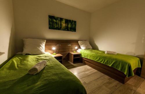 Szlachtowa Apartment | Przy Grajcarku - Apartamenty Homole