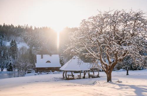 Ustrzyki Dolne House | Przystanek Ropienka Leśniczówka