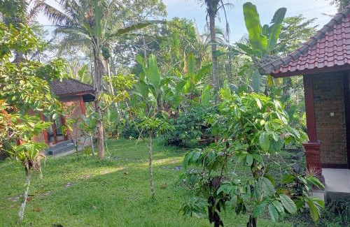 Penebel House | Purana Guest House
