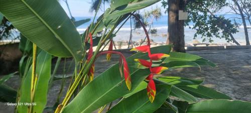 Ngada Villa | Puri Ma'u Beach & Bungalows