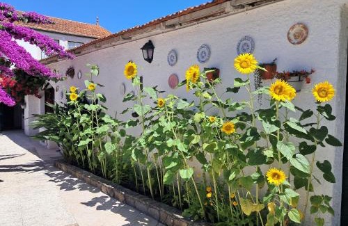 Paco House | QM - Quinta da Morgadinha - Casa em Quinta Rural