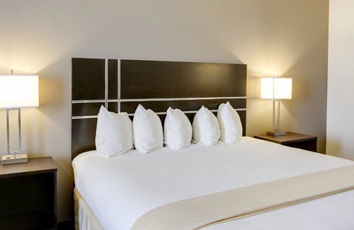 Bryan Hotel | Quality Inn & Suites Bryan-College Station