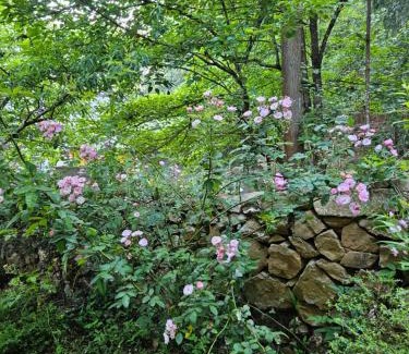 Dong Van Cabin | Quan Din Ngai Villa