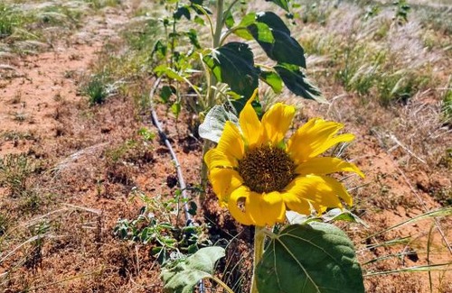Peterborough House | Quentin Park Hideaway