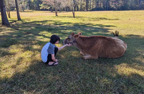 Valdosta Cottage | Quiet Country Living Close to Town