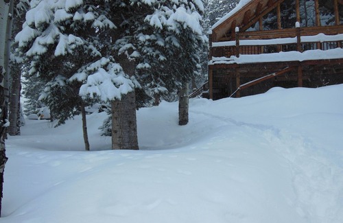 Cimarron Cabin | Quiet Retreat in Aspen Grove