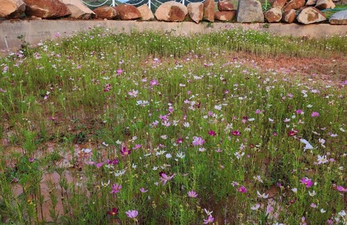 Madagui Town Hotel | Quinn's Homestay Bảo Lộc