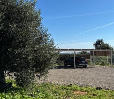 Vila Nova De Cacela House | Quinta Castor