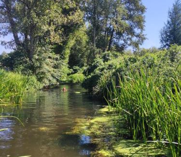 Oliveira do Hospital Apartment | Quinta da Adarnela
