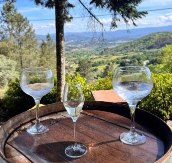 Trancoso House | Quinta da Hortigueira - Country House