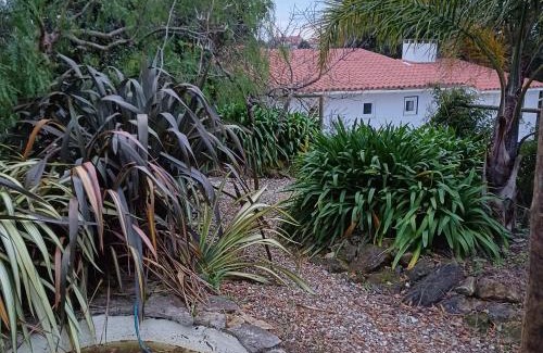 Alcobaca Bed & Breakfast | Quinta da pêra rocha