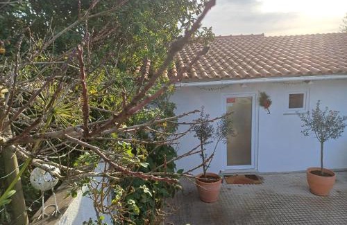 Alcobaca Bed & Breakfast | Quinta da pêra rocha