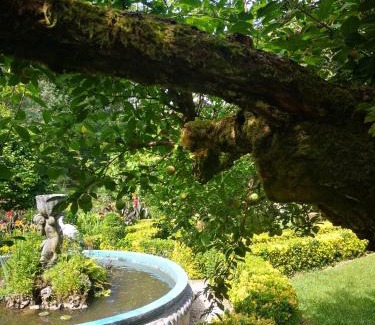 Albergaria-a-Velha House | Quinta das Águias