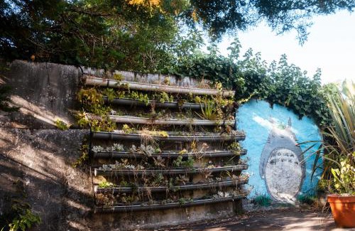 Sao Roque do Pico House | Quinta das Almas