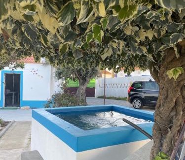 Sao Martinho House | Quinta das Andorinhas Alentejo countryside and beach