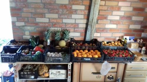 Sao Pedro de Tomar House | Quinta das Lameiras