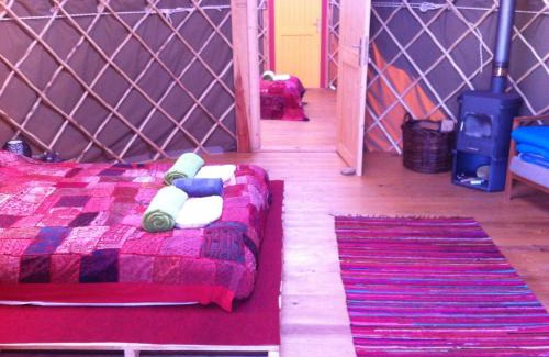 Olalhas House | Quinta de São José dos Montes