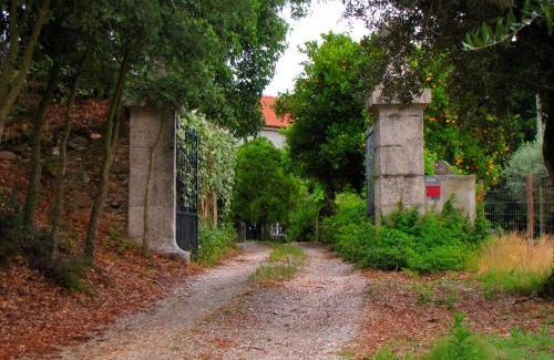 Nossa Senhora do Pranto House | Quinta do Cerquito
