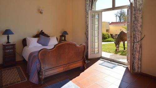 Melecas Bed & Breakfast | Quinta Do Scoto