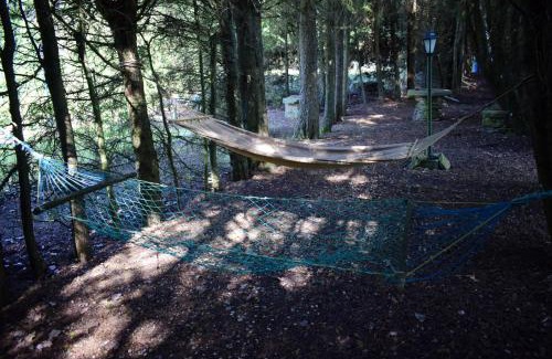 Moimenta da Beira House | Quinta Sul America