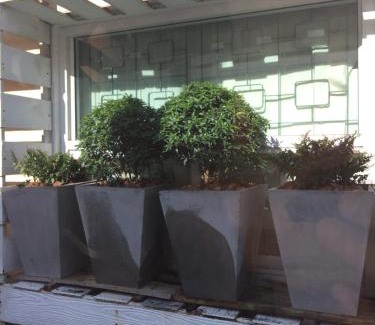 Thai Chang Hotel | Rachawadee House